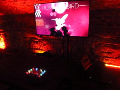 Photo of the controller set up in front of a screen display the Hummingbird game, at Games are for Everyone in Edinburgh.